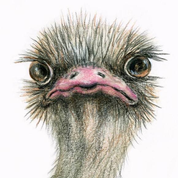 Meet your Posher, Judy