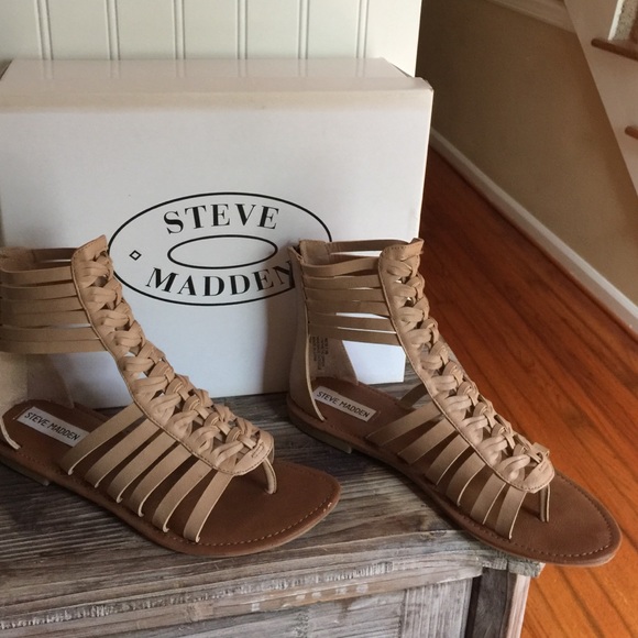 Steve Madden Gladiator sandals.
