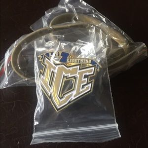 2 Lady Lightning Pins and Bracelets