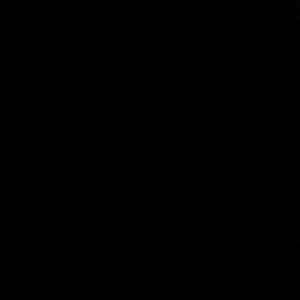 Meet your Posher, Imani