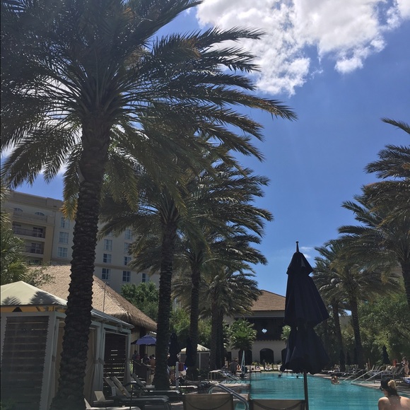 Meet your Posher, Maya - Picture 1 of 1