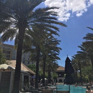 Meet your Posher, Maya