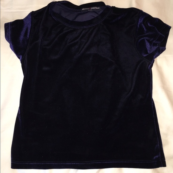 Brandy melville crop top
