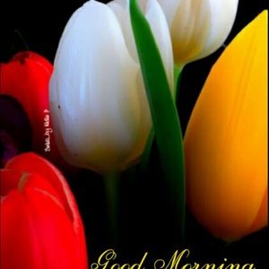 Meet your Posher, Margaret