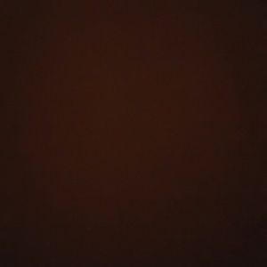 Meet your Posher, Leon