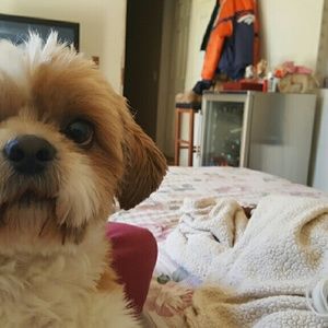 Meet your Posher, Chad