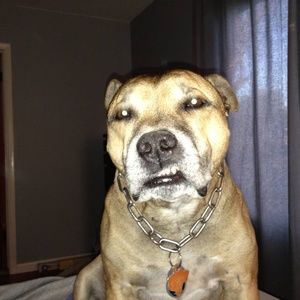 Meet your Posher, Todd carey