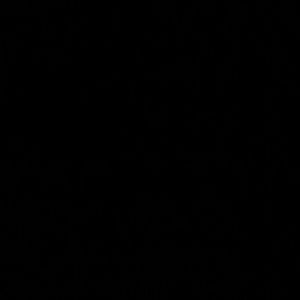 Meet your Posher, Precious