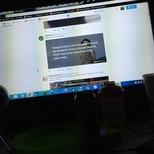 Meet your Posher, Derek