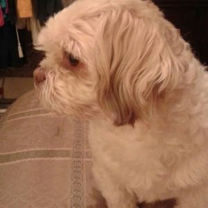 Meet your Posher, Marty