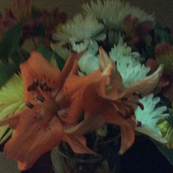 Meet your Posher, Denise - Picture 1 of 1