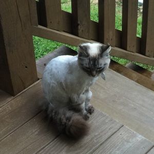 Meet your Posher, Robin