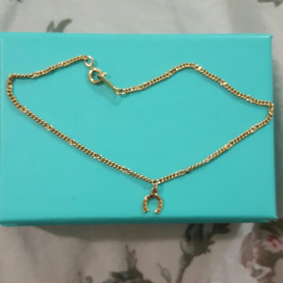 Horseshoe anklet