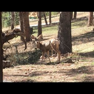 Meet your Posher, Rick