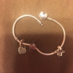 Pandora Charms