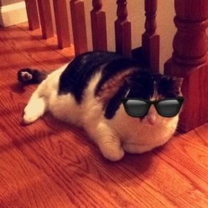 Meet your Posher, Carlyn