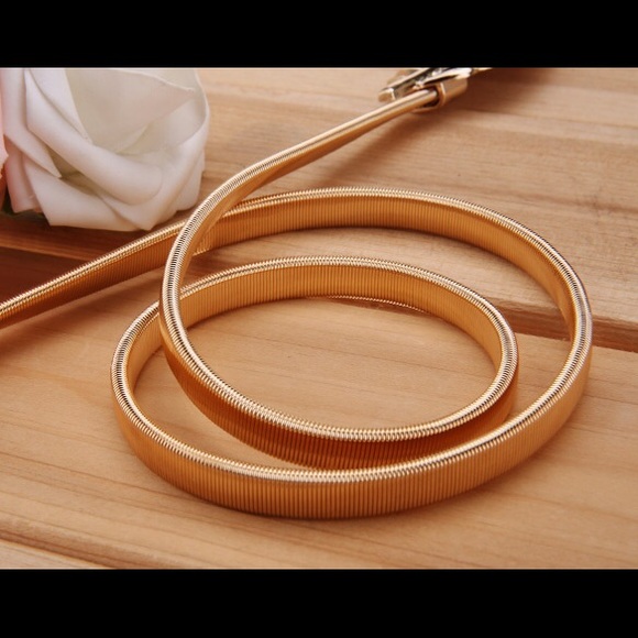 PRICE SLASH - Sophisticated Gold Leaf Belt - Picture 3 of 4