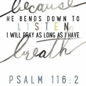 Meet your Posher, Racheal