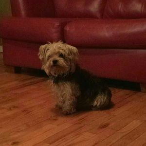 Meet your Posher, Charlotte