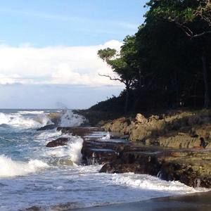 Meet your Posher, Lissette