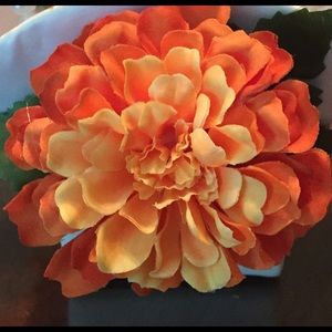 Meet your Posher, Crissy