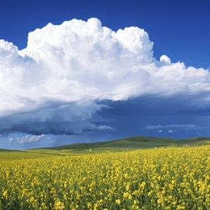 Meet your Posher, Aisha