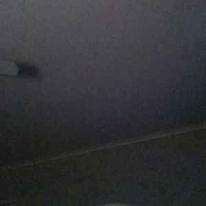 Meet your Posher, Ruth