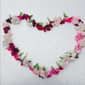 Meet your Posher, Camryn