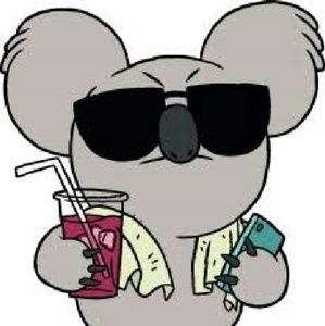 Meet your Posher, Anne