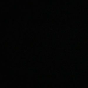 Meet your Posher, Sally