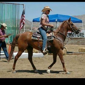 Meet your Posher, Jamie