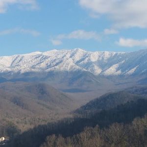 Meet your Posher, Terry