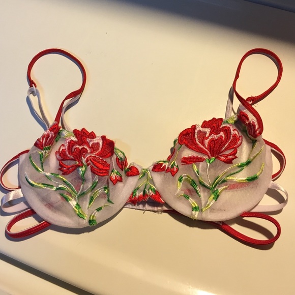 Sexy Strappy Sheer Bra w/ Pretty Flower Embroidery