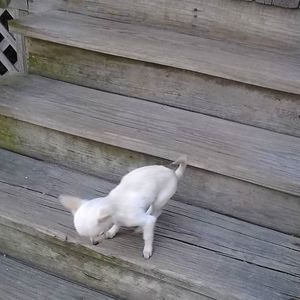 Meet your Posher, Kara