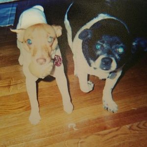 Meet your Posher, Astrid