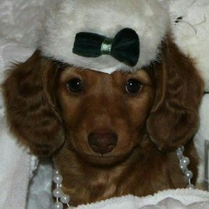 Meet your Posher, Tina