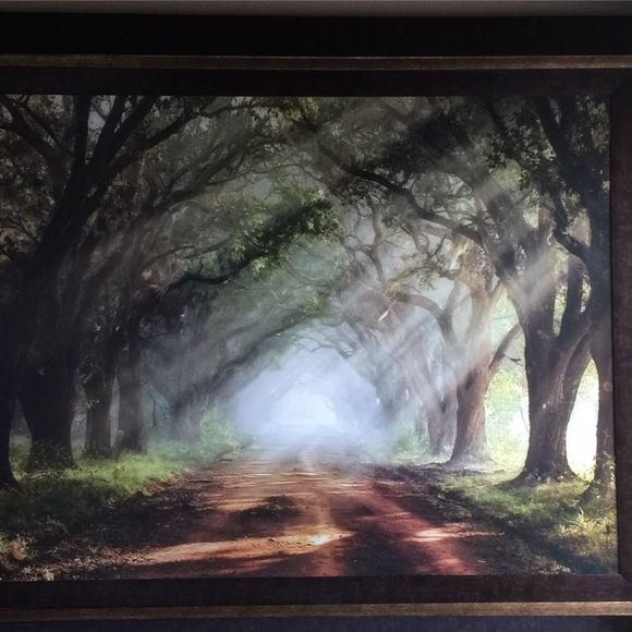 Meet your Posher, Rosa - Picture 1 of 1