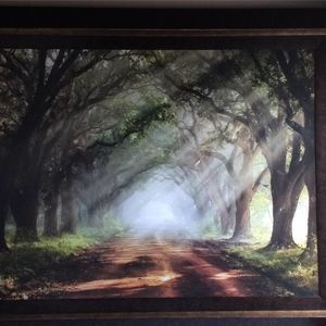 Meet your Posher, Rosa