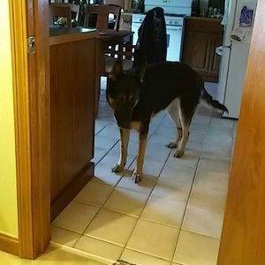 Meet your Posher, Kim