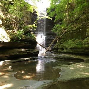 Meet your Posher, Ashlyn