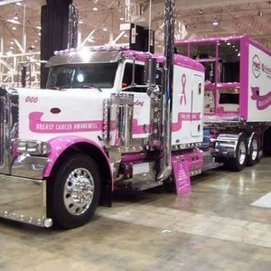 Meet your Posher, Ann