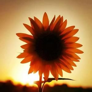 Meet your Posher, Gina gomez