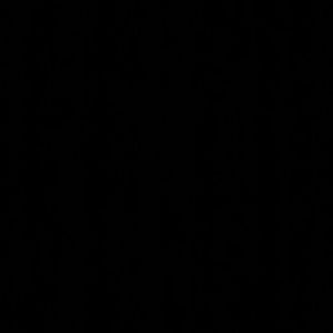 Meet your Posher, Kassandra