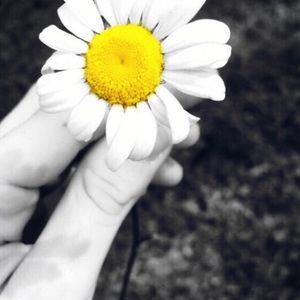 Meet your Posher, Jada