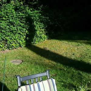 Meet your Posher, Phoebe