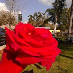 Meet your Posher, Loretta