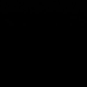 Meet your Posher, Lynn