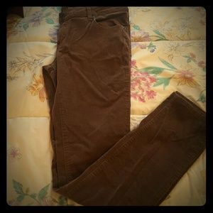Rue 21 brown corduroy skinny pants