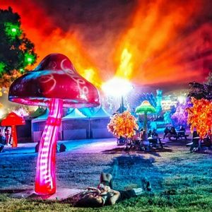 Listing for samantha.