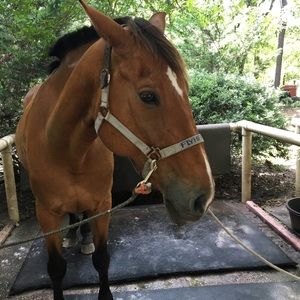 Meet your Posher, Maddy